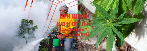 соль ск Кулебаки