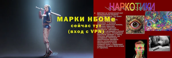 соль ск Кулебаки