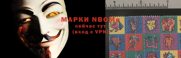 соль ск Кулебаки