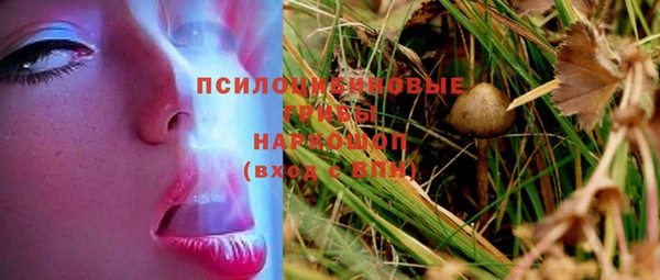 соль ск Кулебаки