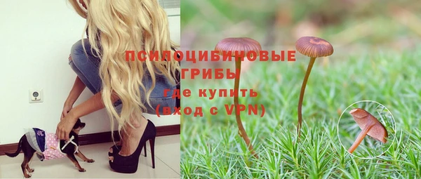 стаф Куйбышев