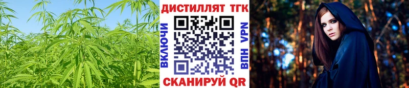 наркота  Ленинск-Кузнецкий  ТГК THC oil 