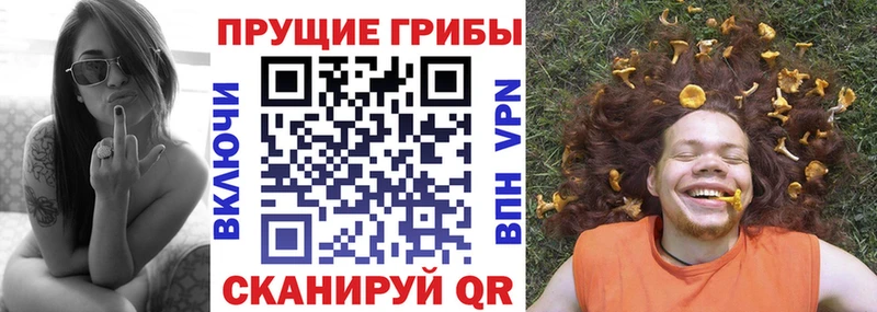 Галлюциногенные грибы прущие грибы  Ленинск-Кузнецкий 